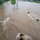 둔지축산 이미지