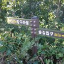 알프스리조트 이미지