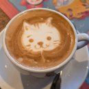 오사카 시칠리아 요리 전문점, 트라토리아 아리아 Trattoria ARIA 런치