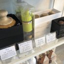 수목토일라이트 이미지