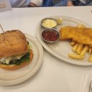 월드피시 이미지