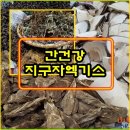 간에 도움되는 지구자/엉겅퀴엑기스 만들기 이미지