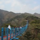 출렁다리(1) 이미지