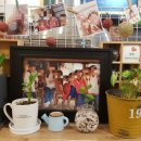 케이프유니스 이미지