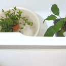 강남가사도우미