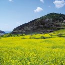 상주면사무소 이미지