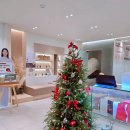 참미르한의원 이미지