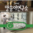 스몰타운스몰 | 홍대팝업 11월 연남동 팝업 양송이연구소 스몰타운스몰