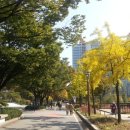 차만술행정사사무소 이미지