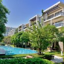 김기태법무사행정사 이미지