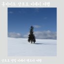 푸른카서비스 | 삿포로 여행 맛집 비에이 렌트카 투어 강제로 간단한 여행 후기