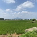 래미안2차~청수초등학교, 반도유보라2차~광장프라자주변(한강11로) | 김포 골드라인 코스로 다녀온 김포 현장 임장기 @ 고촌, 풍무, 장기, 구래