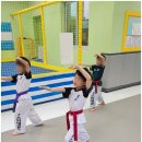 경희대아이스타태권도 | 인천원당동태권도 경희대 아이스타 태권도 체계적 성장 프로그램
