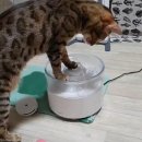 바른정수기