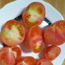 브니엘농장 이미지