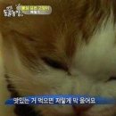 나주 글램핑 어스 이미지