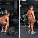 247멀티짐 이미지