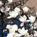 계성여자고등학교 이미지