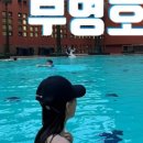 부영공원(2) 이미지