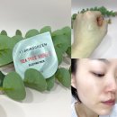 올리브영 브링그린 프레시볼팩 티트리 슬리핑팩 내돈내산 후기