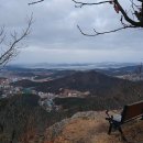 영산농장 이미지