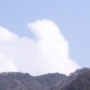 한낮의 꿈 이미지