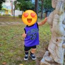 강원특별자치도 영월군 영월군종합사회복지관 이미지