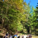 자람어린이집 이미지