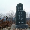 성주밧데리 Daum카페