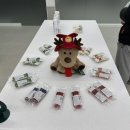 왓숑미용 이미지