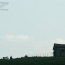 정경목장 Daum카페