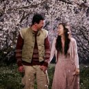 너는내운명 이미지