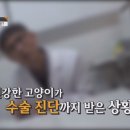 아이사랑 동물병원 이미지