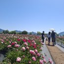 37.5도 - 빙하 이미지