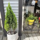 그앞에cafe