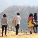 고향의봄길 이미지