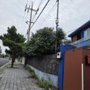 함덕파란집 이미지