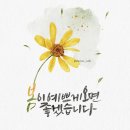 안온 - 제주시 진군길 19-3 | 안온