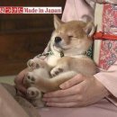 하명 이미지