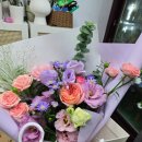 핑크랑보라 이미지