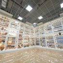 국립공주박물관 이미지