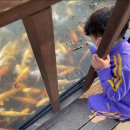 아프리카예술박물관 캠핑장 이미지