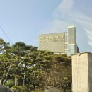 용인대창조태권도장 이미지