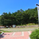 편백인 울산 이미지