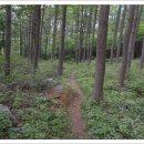 민재여울목산장 이미지