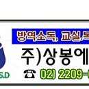 에스디 이미지