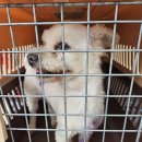 태성보건진료소 이미지