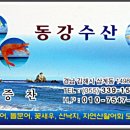동강수산