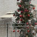 카페 슈슈 이미지