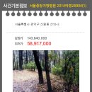 신림동-3 이미지